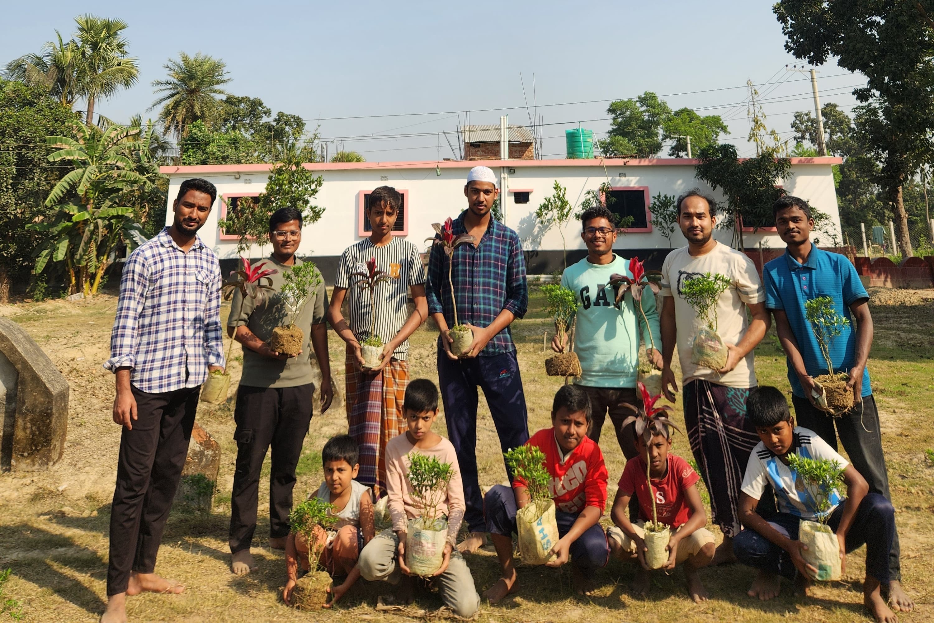 Tree Plantation